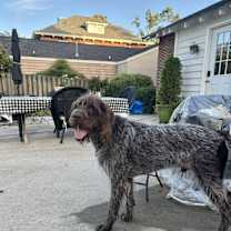 Thumbnail photo of Abe #3