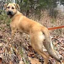 Thumbnail photo of BUBBLES #1