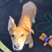 Thumbnail photo of Barron #4