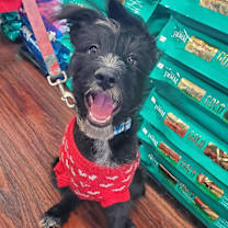 Thumbnail photo of Tiana #2