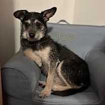 Thumbnail photo of Peanut #2