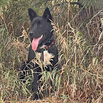 Thumbnail photo of Junior #1