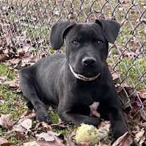 Thumbnail photo of Bryan #1