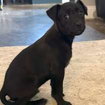 Thumbnail photo of Trax #4