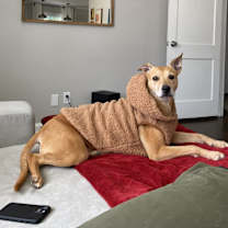 Thumbnail photo of Shady #2