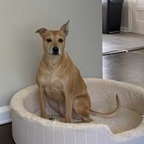 Thumbnail photo of Shady #3