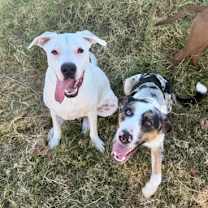 Thumbnail photo of Grady #2