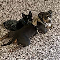 Thumbnail photo of Oakley #3