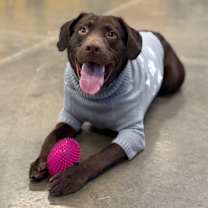 Thumbnail photo of Channing  #3