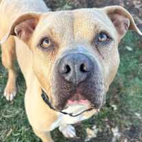 Thumbnail photo of Tater Keg #1