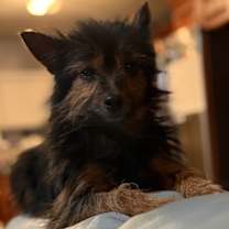 Thumbnail photo of Wolfgang #3