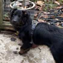 Thumbnail photo of Guinness #4