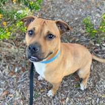 Thumbnail photo of Hennessy #1