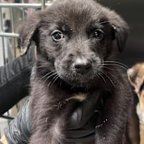 Thumbnail photo of Darren #2