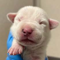 Thumbnail photo of Susan #2