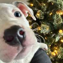 Thumbnail photo of Susan #3