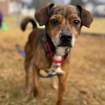 Thumbnail photo of Ottis #1