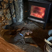 Thumbnail photo of Dutchess #3