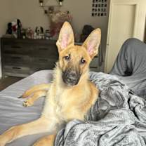 Thumbnail photo of Terry #2