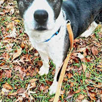 Thumbnail photo of TUFF #1