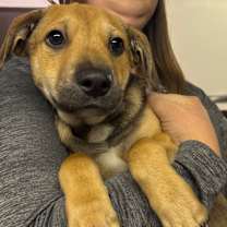 Thumbnail photo of Bono #2