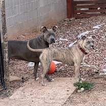 Thumbnail photo of Riot #2