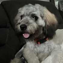 Thumbnail photo of max #1