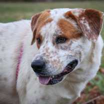 Thumbnail photo of TJ #4