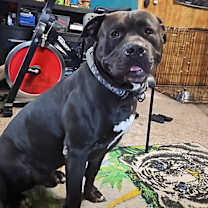 Thumbnail photo of Jskar #1