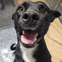 Thumbnail photo of Jack #4