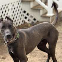 Thumbnail photo of Tuxx #1