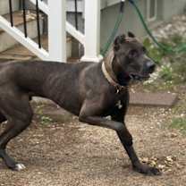 Thumbnail photo of Tuxx #2