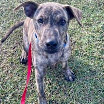 Thumbnail photo of Tupac #2