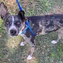 Thumbnail photo of Nona #2