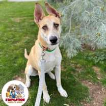 Thumbnail photo of Hermes #1