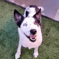 Thumbnail photo of Frida #1