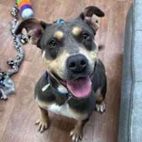 Thumbnail photo of Penny #1