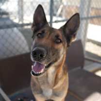 Thumbnail photo of TERRA #1