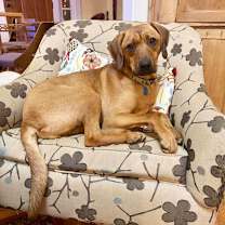 Thumbnail photo of Helium #3