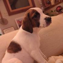 Thumbnail photo of Freya #2