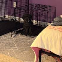 Thumbnail photo of Ted #1