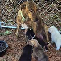 Thumbnail photo of Crash #4