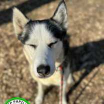 Thumbnail photo of Judy #3