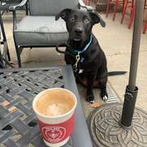 Thumbnail photo of Bodhi #1