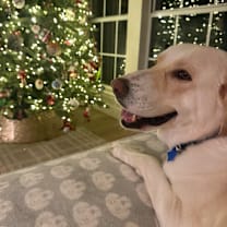 Thumbnail photo of Lainey #3