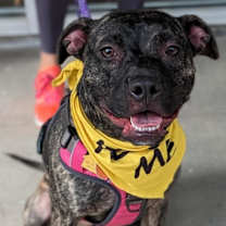 Thumbnail photo of Cleo2 #4