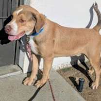 Thumbnail photo of Jacob* #2