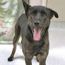 Thumbnail photo of Lyle* #3