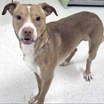 Thumbnail photo of Elroy* #3