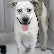 Thumbnail photo of Lemony* #3